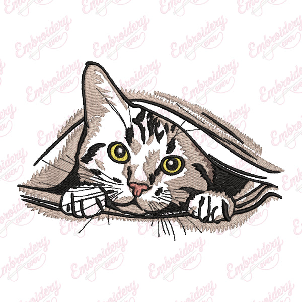 Curious Cat Peeking Embroidery Design
