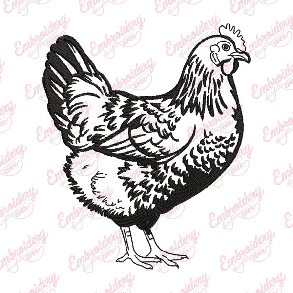 Chicken Embroidery Design