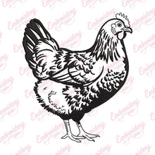 Chicken Embroidery Design