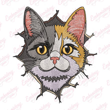 Funny Cat Cracked Wall Embroidery Design