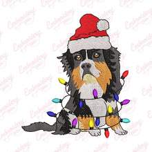 Cute Bernese Mountain Christmas Lights Embroidery Design