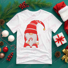 Christmas Holiday Gnome Embroidery Design