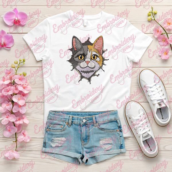 Funny Cat Cracked Wall Embroidery Design
