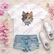 Funny Cat Cracked Wall Embroidery Design