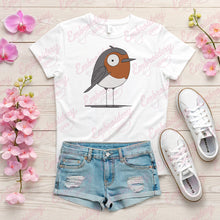Cartoon Robin Bird Embroidery Design