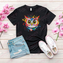 Colorful Owl Embroidery Design