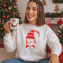 Christmas Holiday Gnome Embroidery Design