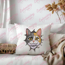 Funny Cat Cracked Wall Embroidery Design